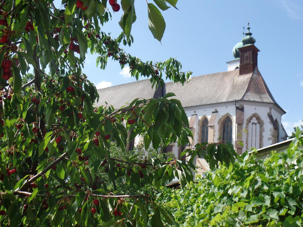 Penzion Oaza Levoča Esterno foto