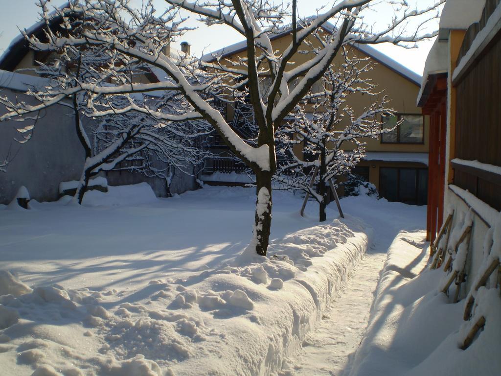 Penzion Oaza Levoča Esterno foto